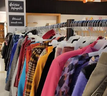 Fripe modern vintage Grande et petite taille