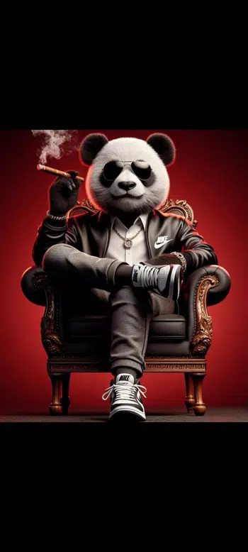 🔥🐊GOLDEN DAYS  LACOSTE VS RALPH LAUREN 🐊🔥