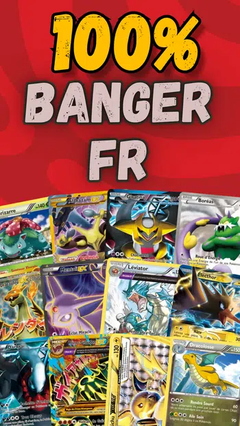 Noir et Blanc / XY , 1e PDD, Holo, Reverse Full Art 100% FR