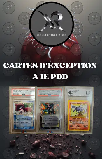 CARTES D'EXCEPTION A 1E PDD