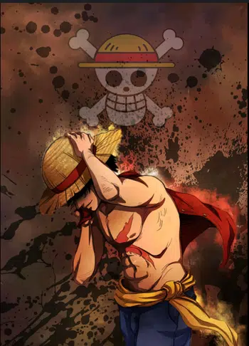 Show One Piece de dingue 1€ PDD !!! 🤩‼️🔥🔥🔥