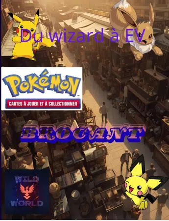 Show special Plus de 100 cartes à passé à 1 pdd