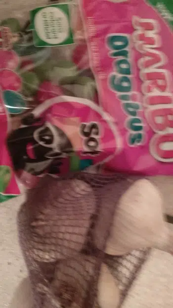 Le Royaume des Pokémons