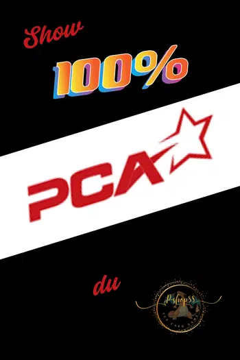 🔥Mega Show PCA &/ cartes en LOOSE & wizard ( expédition, Néo , set de base 🔥