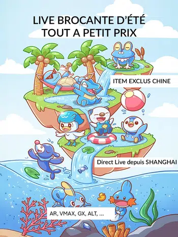 Live Summer Brocante cartes 100% chinoises