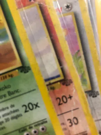 Jungle / Jungle édition 1