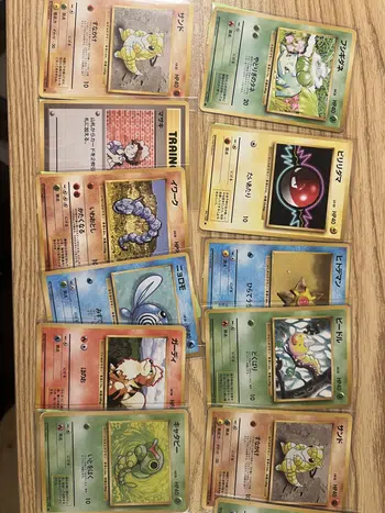 2 EURO PDD SDB/JUNGLE/FOSSIL/...