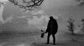 🔥Big Déstockage🔥Lacoste, Nike, Adidas, Ralph ... 1€ PDD 🔥