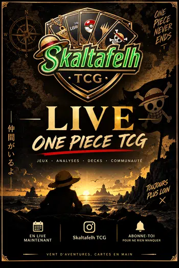 ✨ OP.TCG : GROS SHOW > Case OP11  & 14 & 17 👀  & Multisérie !!! 🇫🇷🏴‍☠️