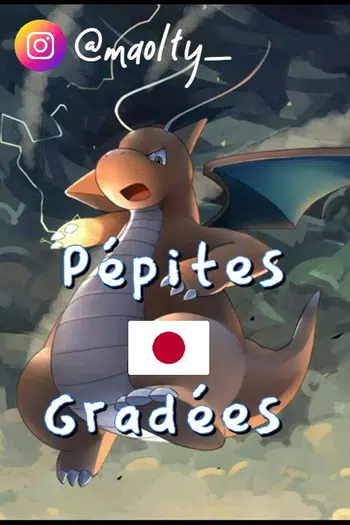 🇯🇵 Pépites Gradées 🇯🇵