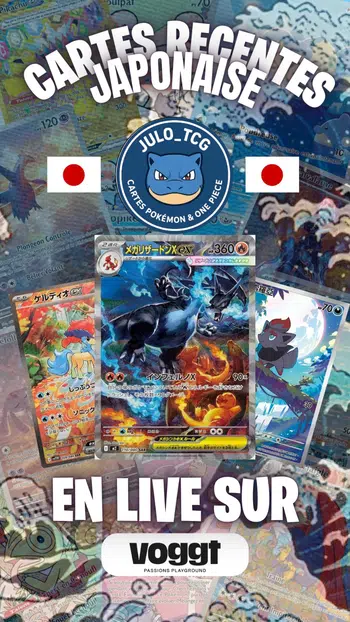 1€ PDD Holo vintage et SAR/AR 100% JAPONAIS !!!