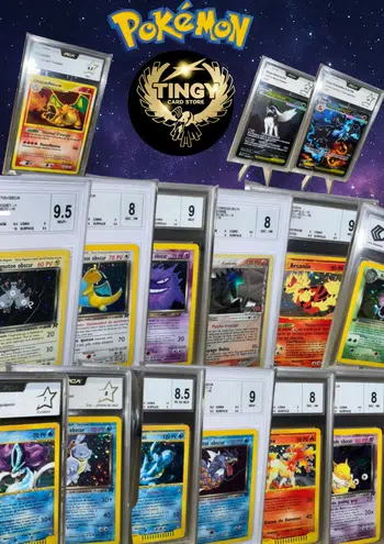 🌟BIG SHOW Gradées & Loose  D Exception 🌟