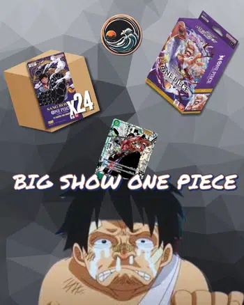 Case Blisters OP11 FR 1€PDD + Pleins de cartes JPN