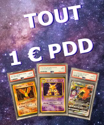 🇯🇵 SET DE BASE et GRADÉES 🔥1€ PDD