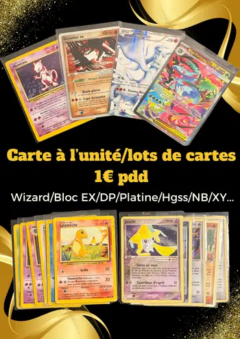 1er show plusieurs milliers de cartes !