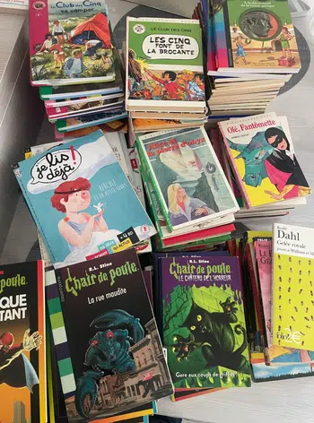 LotS de livres Anciens ou News Enfants Adultes RARES BONNES AFFAIRES