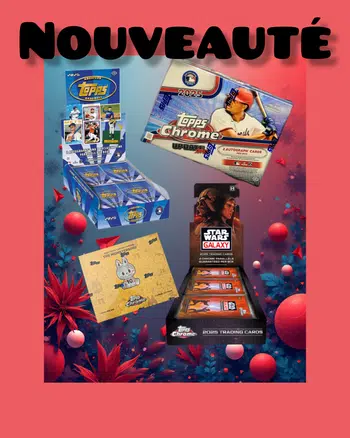 Nouveauté 💥 A GOGO 💥