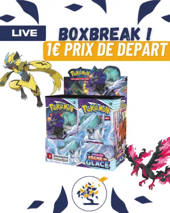 Boxbreak Regne de glace 1€ prix de départ